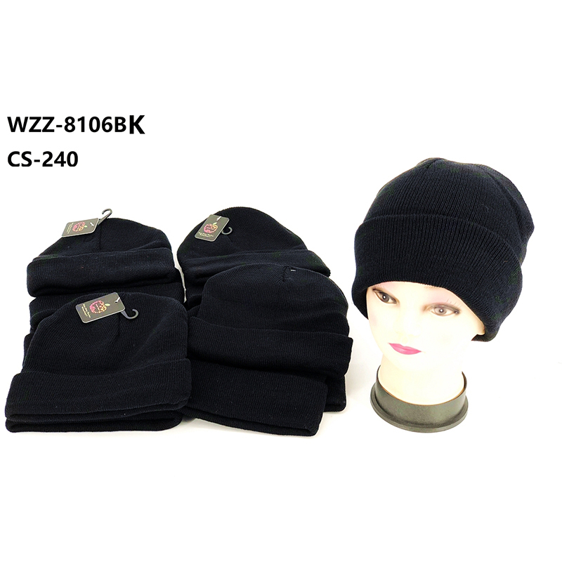 WZZ-8106BK CS-240